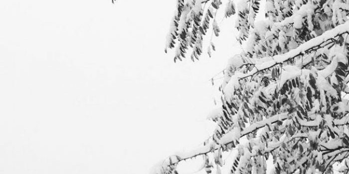 WHITE AS SNOW