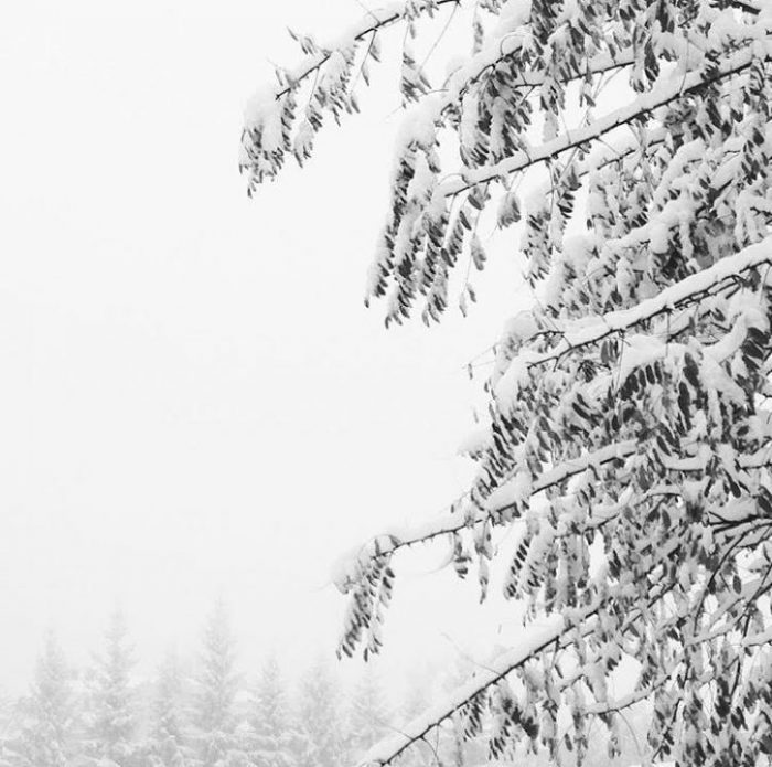 WHITE AS SNOW